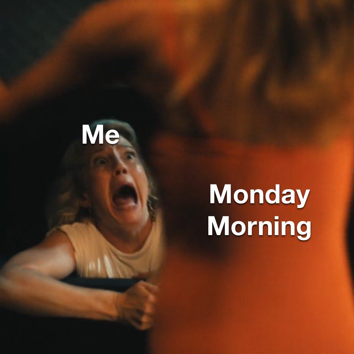 Oysters Clams & Cockles (@clamsandcockles) on Twitter photo 