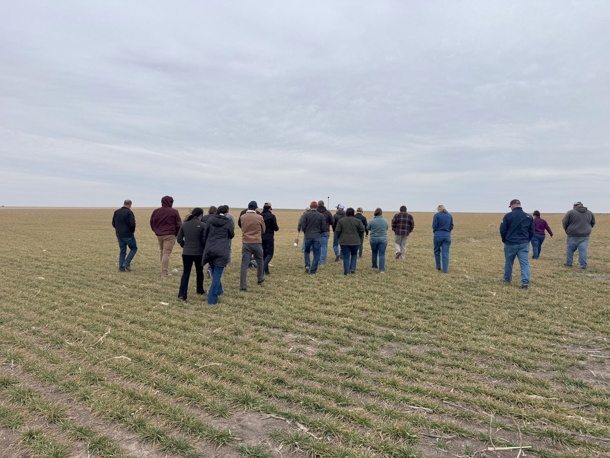What’s one way to check soil health? Give it sniff. Healthy soil will have an “earthy” smell. Our regenerative ag field day in Kansas helped producers learn more about practices that build soil health. scoular.com/blog/four-misc…
#RegenerativeAgriculture #farming #sustainability