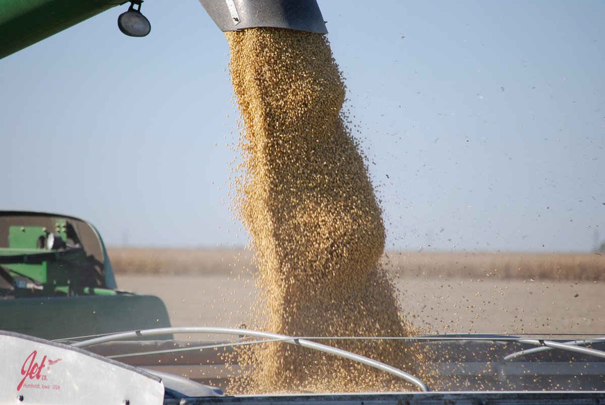 SoybeanResearchInfoNetwork (@soyresearchinfo) on Twitter photo An NCSRP project, led by <a href="/CiampittiLab/">Ciampitti Lab</a>, finalizes with a database of crop information across the Midwest to develop spatial field maps with high oil and protein soybeans. The project led to a collaboration program with <a href="/AcresProgram/">NASA Acres</a>. #USSoy bit.ly/42cH6v0 An NCSRP project, led by <a href="/CiampittiLab/">Ciampitti Lab</a>, finalizes with a database of crop information across the Midwest to develop spatial field maps with high oil and protein soybeans. The project led to a collaboration program with <a href="/AcresProgram/">NASA Acres</a>. #USSoy bit.ly/42cH6v0