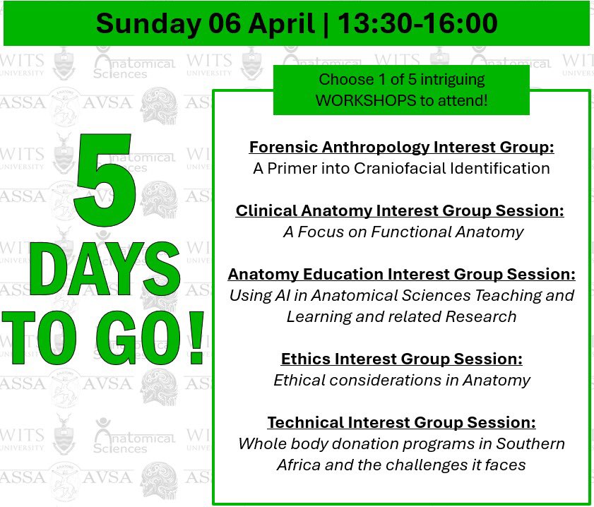 5 DAYS TO GO!! 🥳🎉✨ 
On Sunday, 6 April 2025, between 13:30 and 16:00, attendees can choose between 5 intriguing workshops to attend 💀🩻📚📄🥼 
Looking forward to seeing you there!! 🥳🎉✨ 
#ASSA2025 #AnatomyIntelligence #ASSA50years