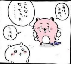 mofulap's tweet photo. https://t.co/d9TSjLri5L