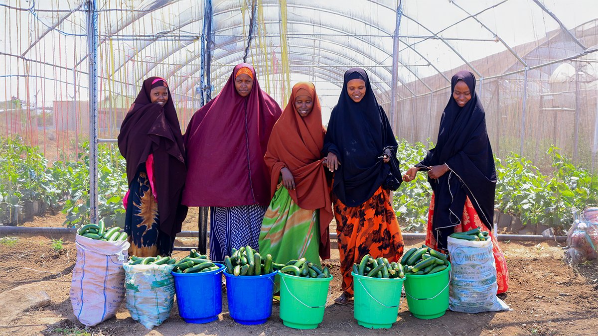 SOS Children's Villages International (@sos_children) on Twitter photo 📢Protecting the planet means protecting children & their rights.
🥬To support 🇸🇴 communities in building a more climate-resilient future, <a href="/SOSCVSomalia/">SOS Children's Villages in Somalia</a> equips young people & families with the tools & knowledge they need for sustainable farming.👇 📢Protecting the planet means protecting children & their rights.
🥬To support 🇸🇴 communities in building a more climate-resilient future, <a href="/SOSCVSomalia/">SOS Children's Villages in Somalia</a> equips young people & families with the tools & knowledge they need for sustainable farming.👇