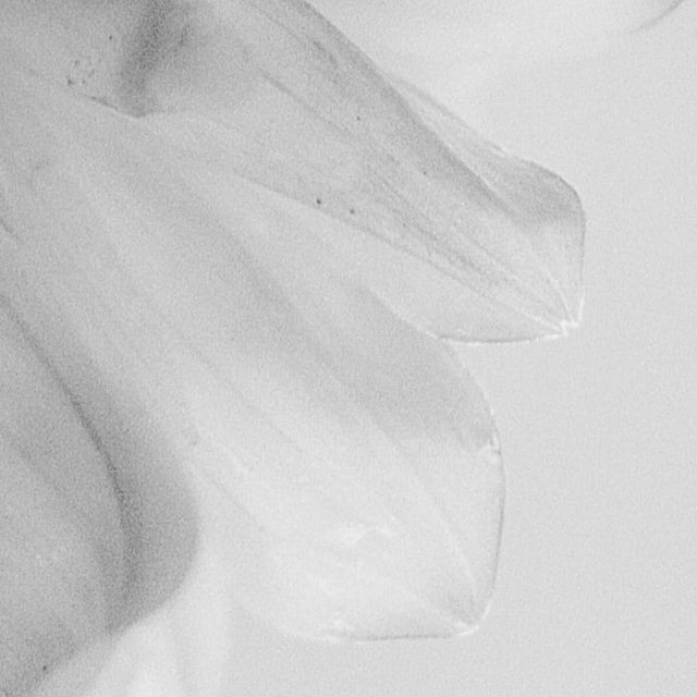 ᴍᴇʀᴀʟᴅ. tweet media