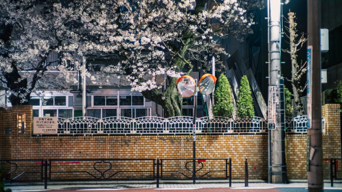 あと何回見られるのだろう