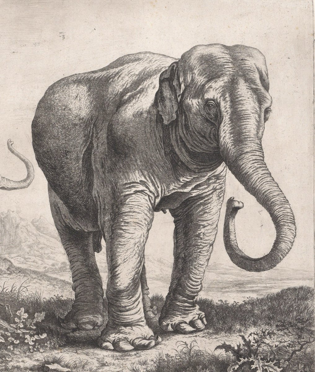 The Pulter Project tweet media