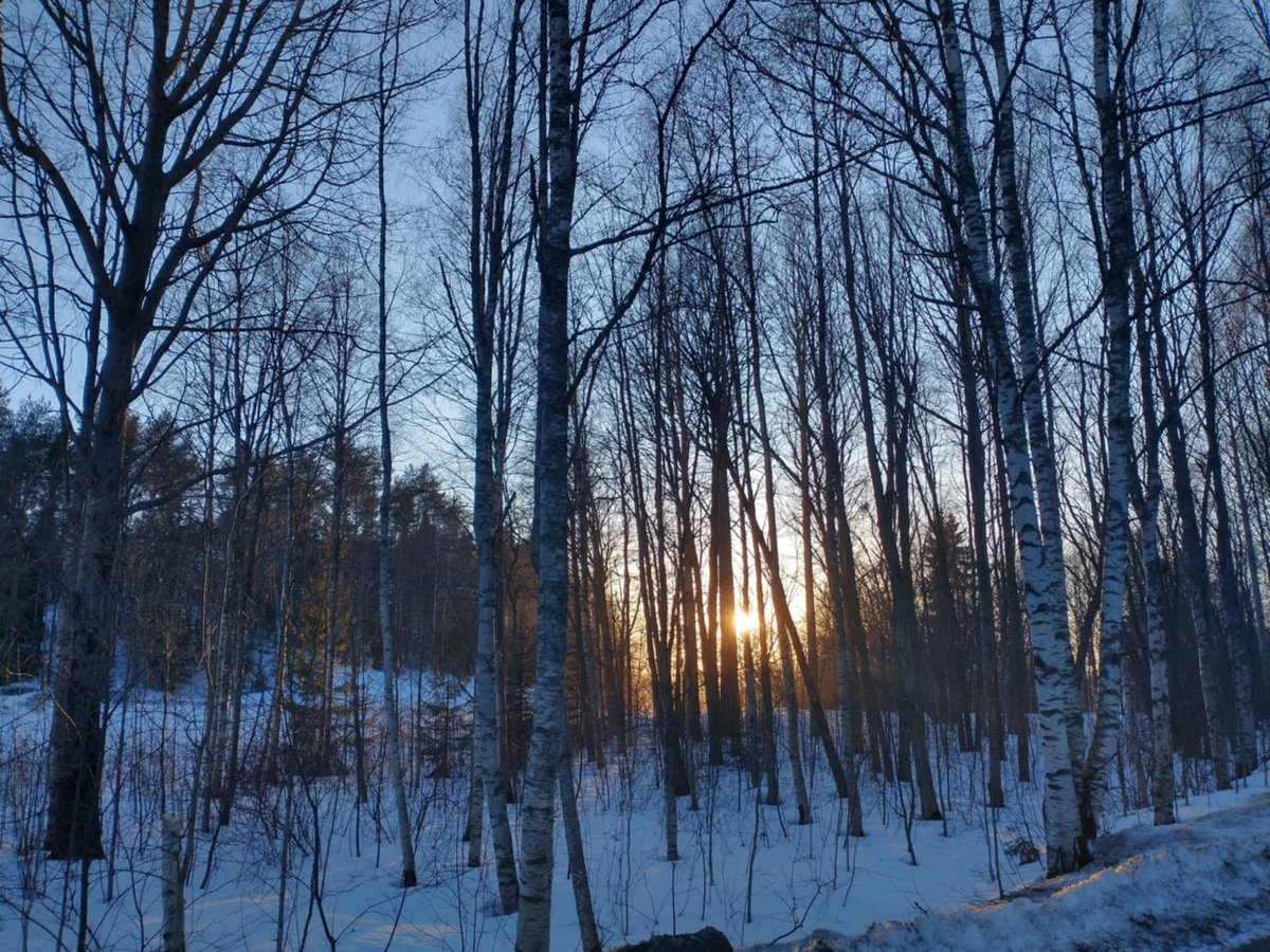 Eavan O'Dochartaigh tweet media