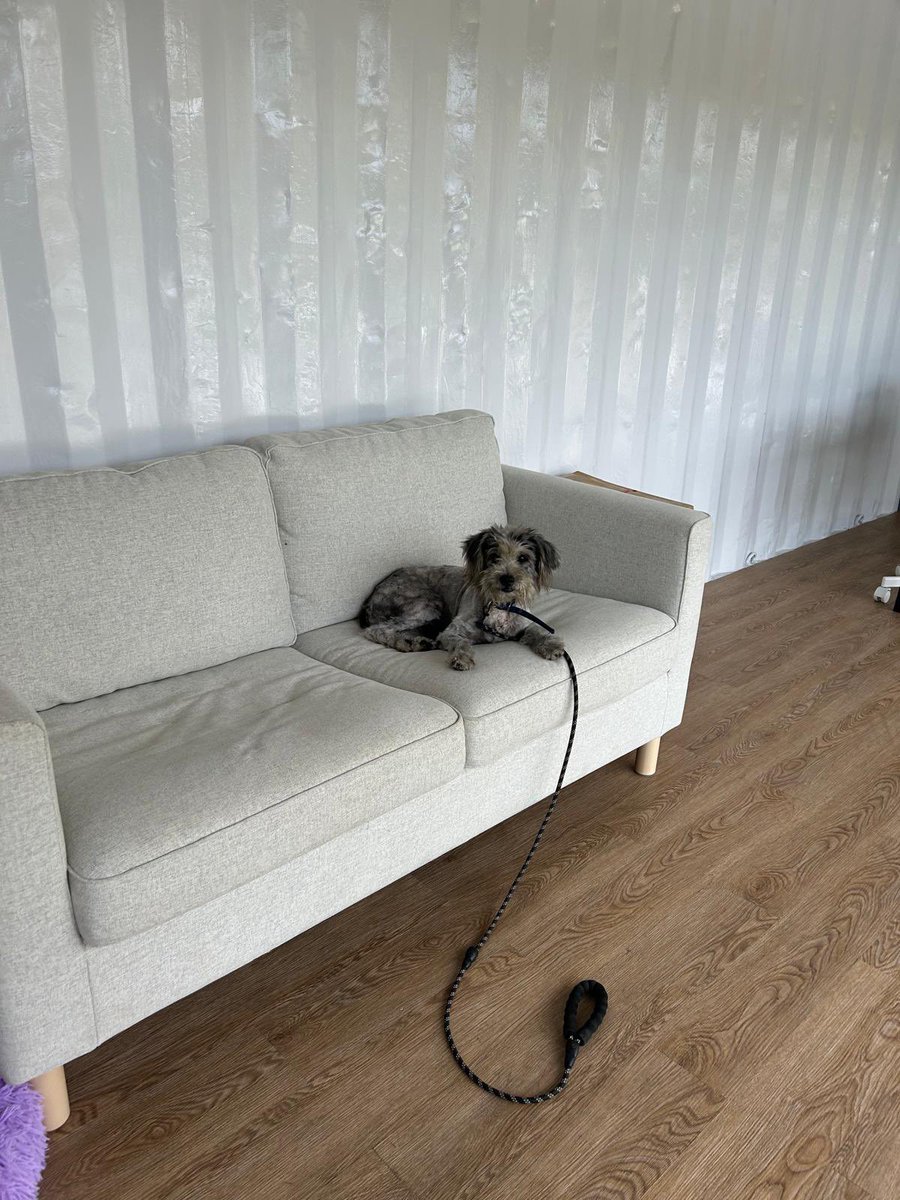 Niall Harbison tweet media