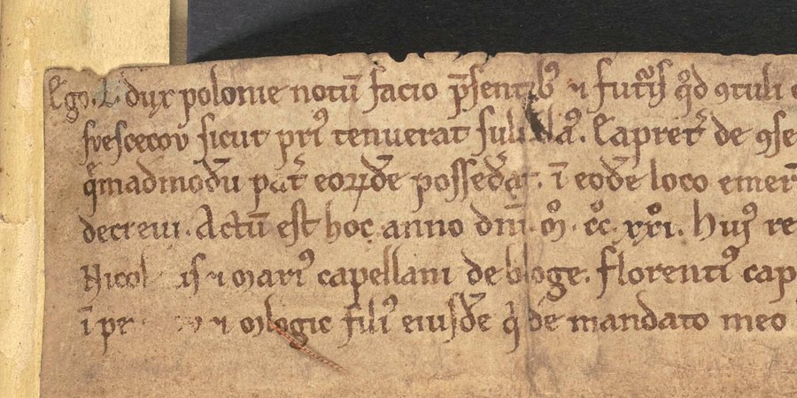 Leszek Biały nadaje ziemię cystersom z Sulejowa, 1221 rok. 
W lewym górnym rogu można przeczytać "Ego. L. dux polonie" ("Ja, L., książę Polski").