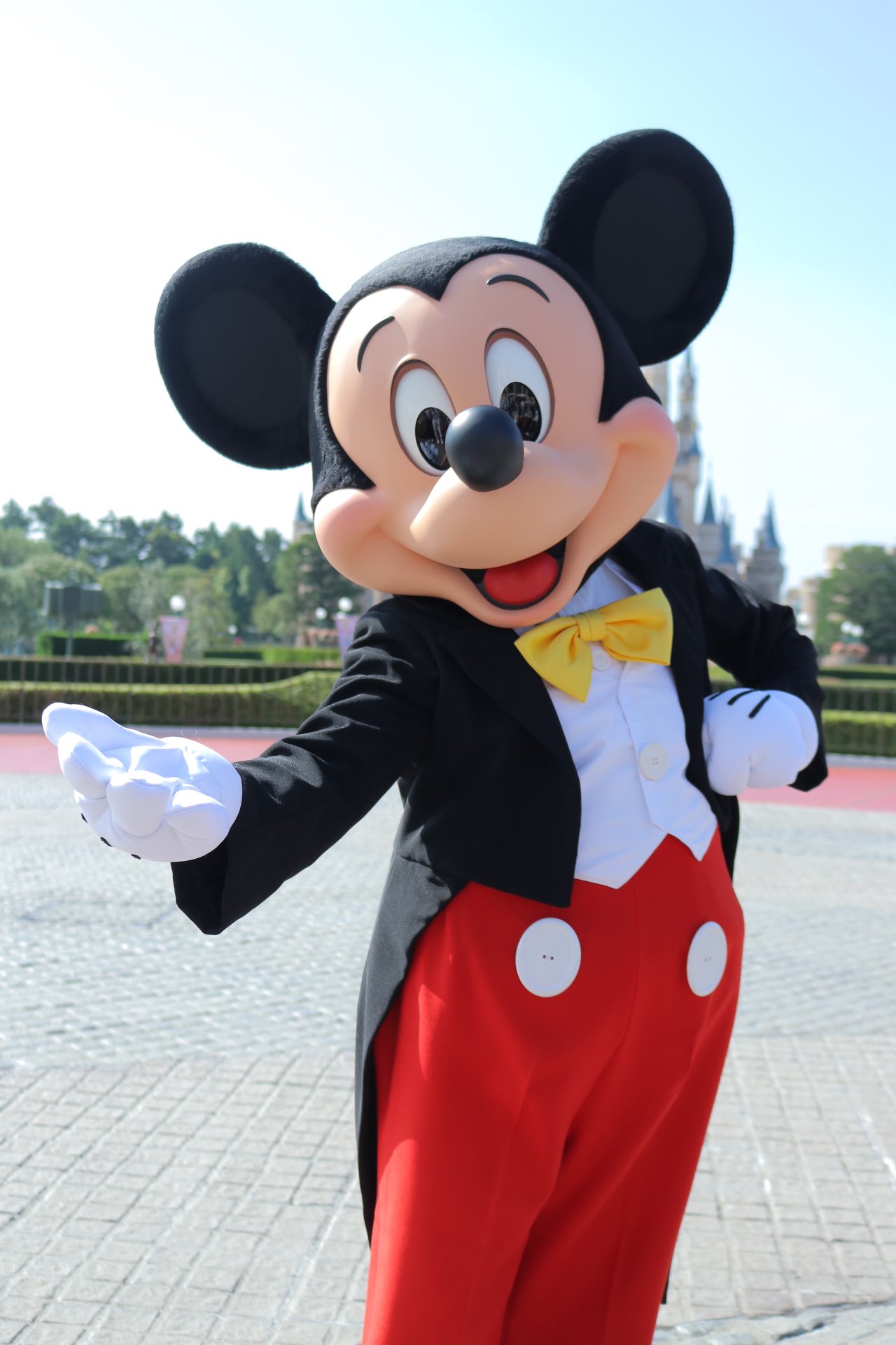 Disney - まめちゃん 40周年の壁紙が可愛い！ . ステップ3とステップ4の載せる順番が