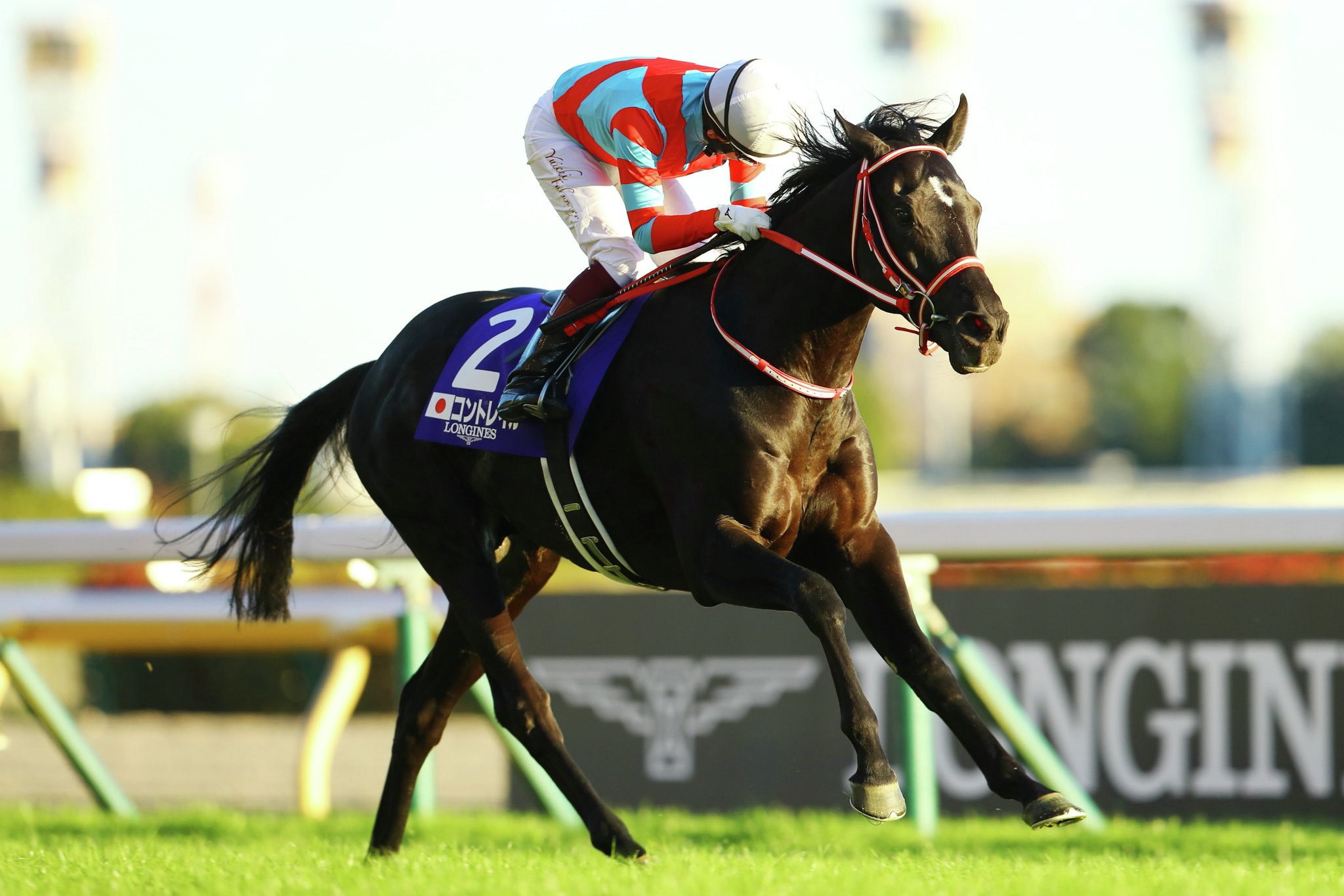 JRA-VAN公式 on X: JRA-VAN公式 on X: