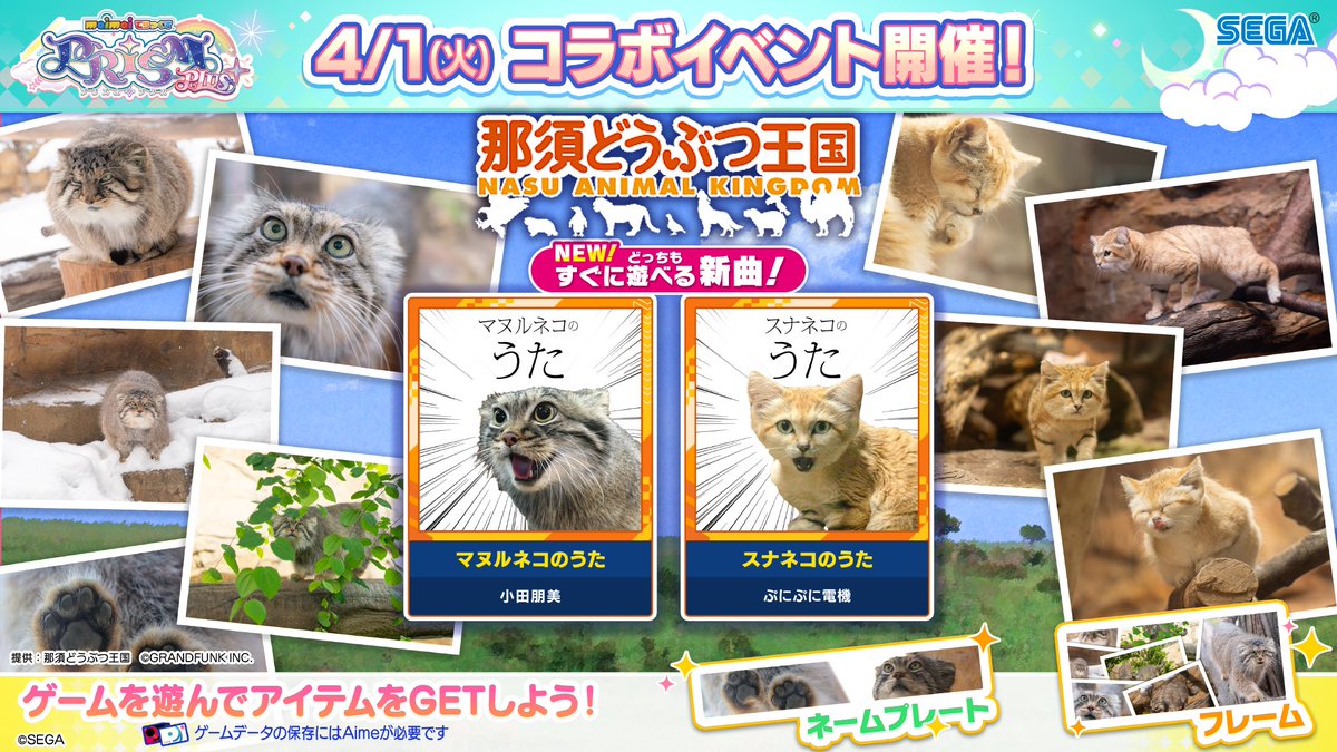 【4/1(火)「那須どうぶつ王国」ちほー登場！】
あの「那須どうぶつ王国」とのスペシャルコラボが開催決定！

SNSで話題となった、「マヌルネコのうた」、「スナネコのうた」が『maimai でらっくす』で遊べちゃいます！😻

⬇️詳しくはコチラ！
maimai.sega.jp/news/2025-04-0…