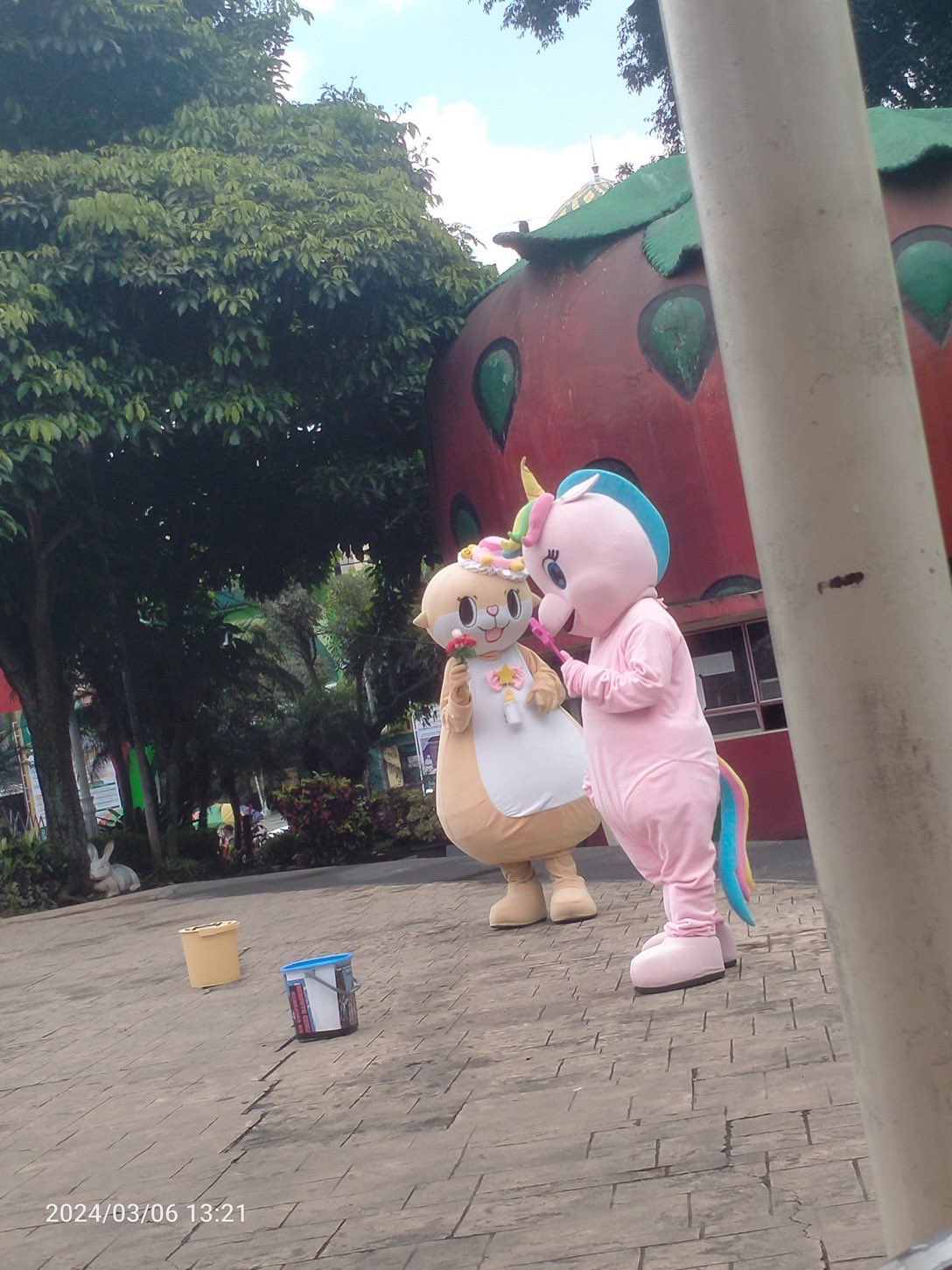 Highlights by ちぃたん☆/Chiitan (@chiitan7407) / X Highlights by ちぃたん☆/Chiitan (@chiitan7407) / X
