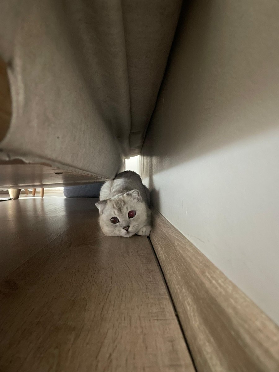 nisafirlerden mefret ediyorun sicim sicim sicim