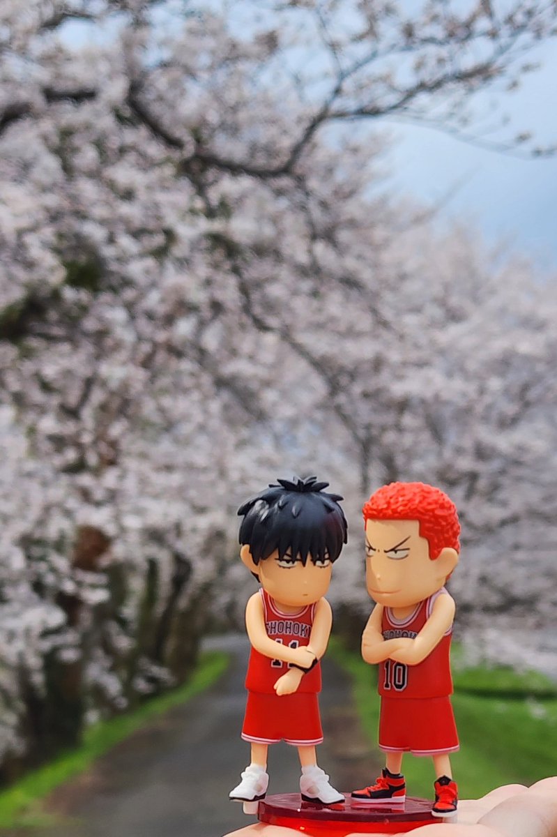 🎗ㄹㅔㄷ🕯 tweet media