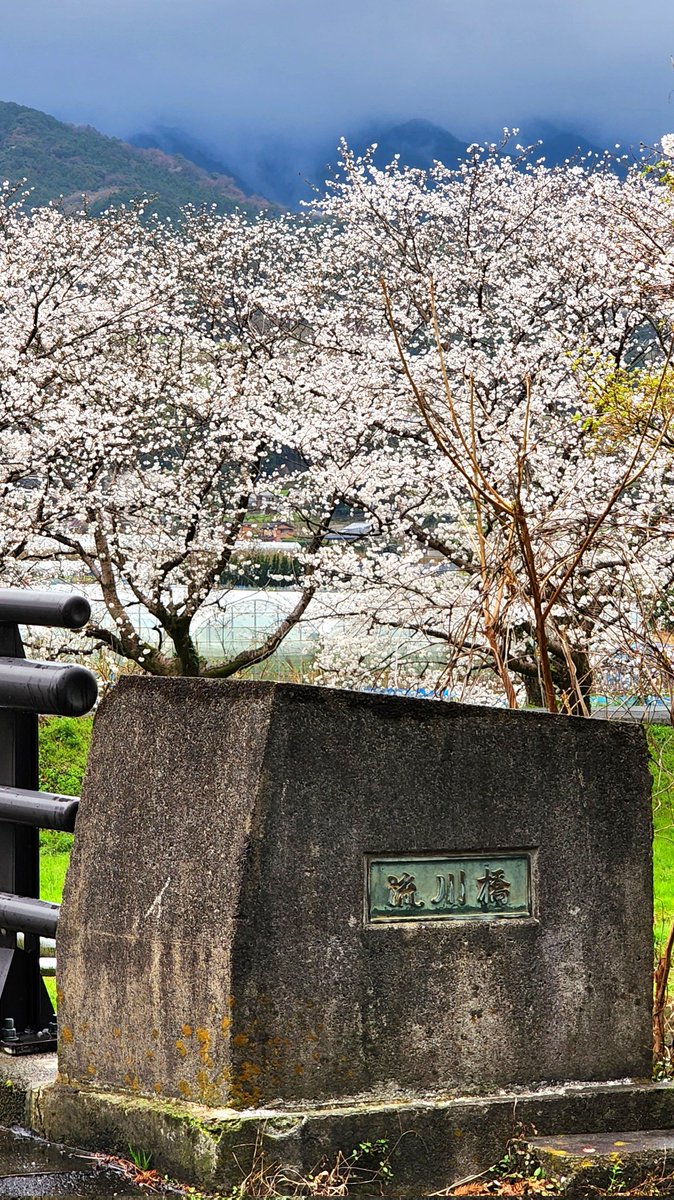 🎗ㄹㅔㄷ🕯 tweet media