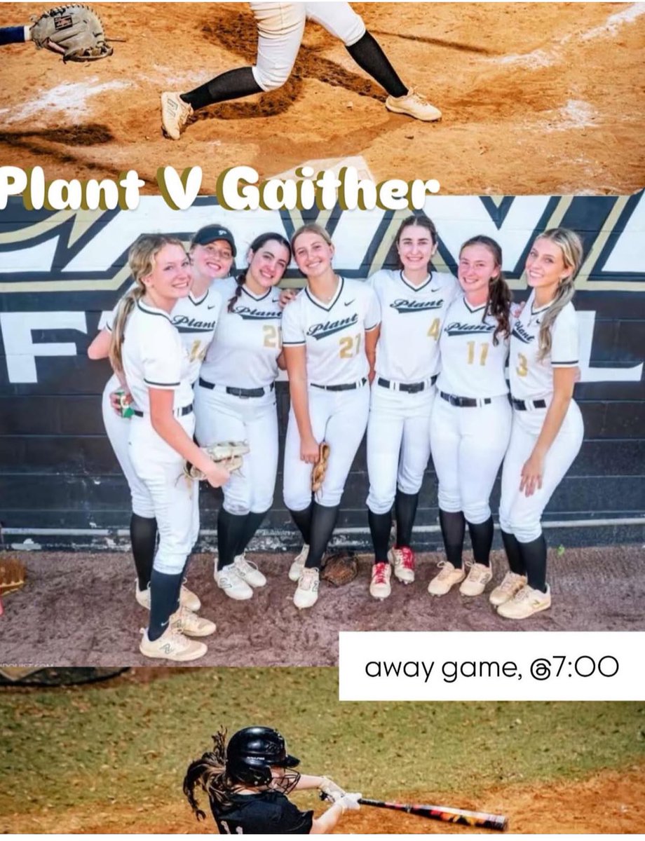 Plant High Varsity Softball tweet media