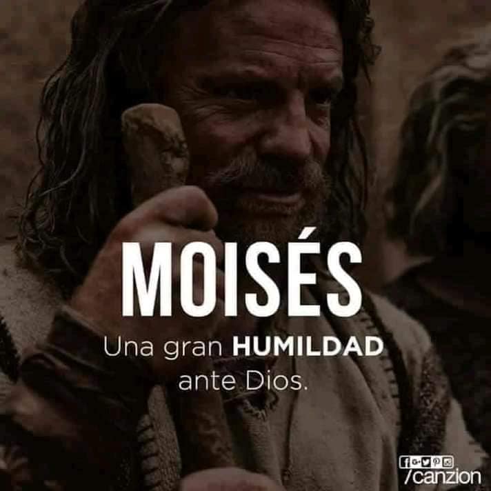 citaspcompartir's tweet photo. 🫧 Eres una perla preciosa en manos de Dios 🫴

❓ ¿Puedes servir como Moisés lo hizo?

Nota: Crédito de la imagen a quien corresponda. Tomada de internet.

#EresUnaPerlaPreciosa #EnManosDeDios #CitasParaCompartir #Biblia #Venezuela https://t.co/xcTALEQ9Yi