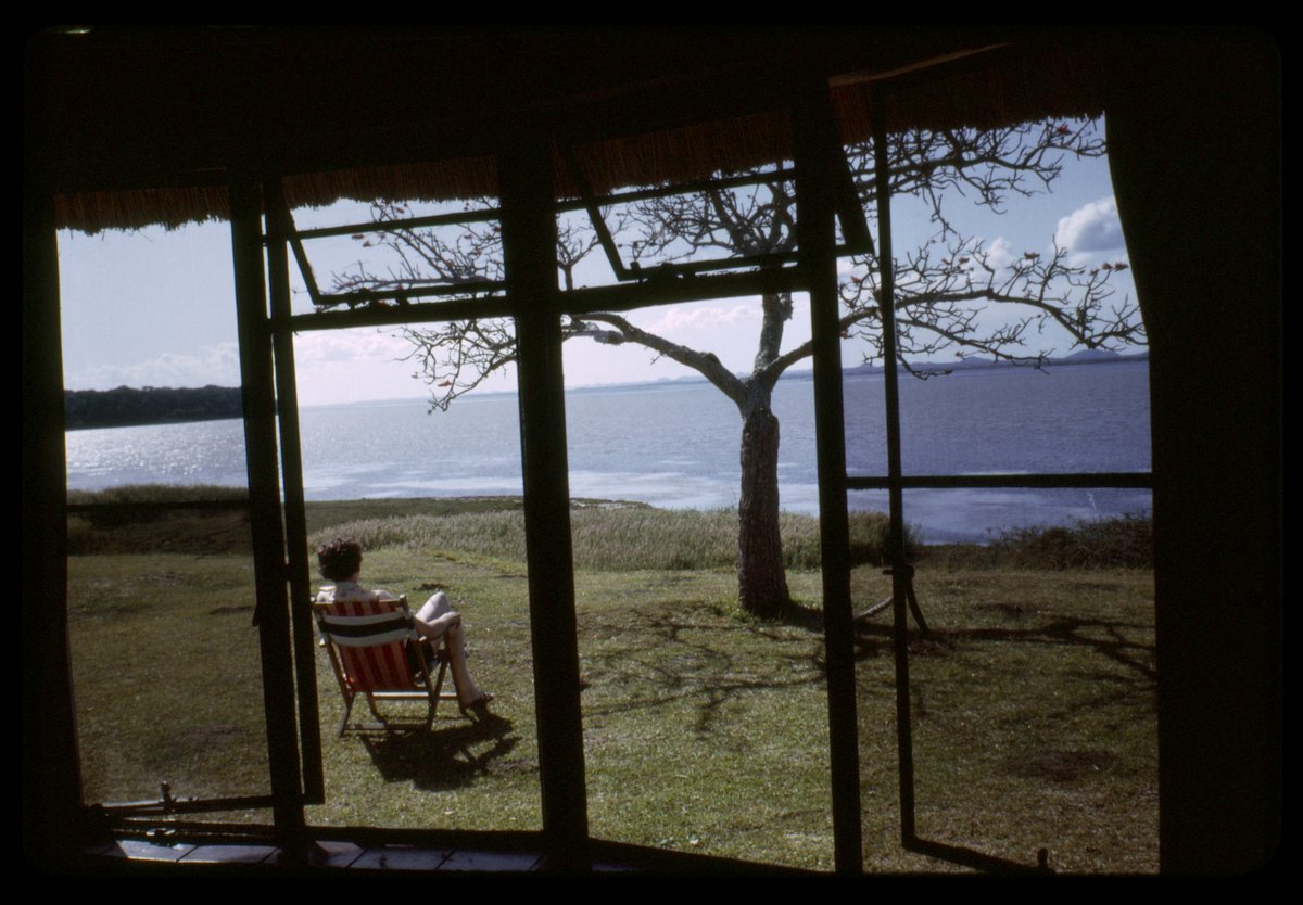 Daniela Spector tweet media