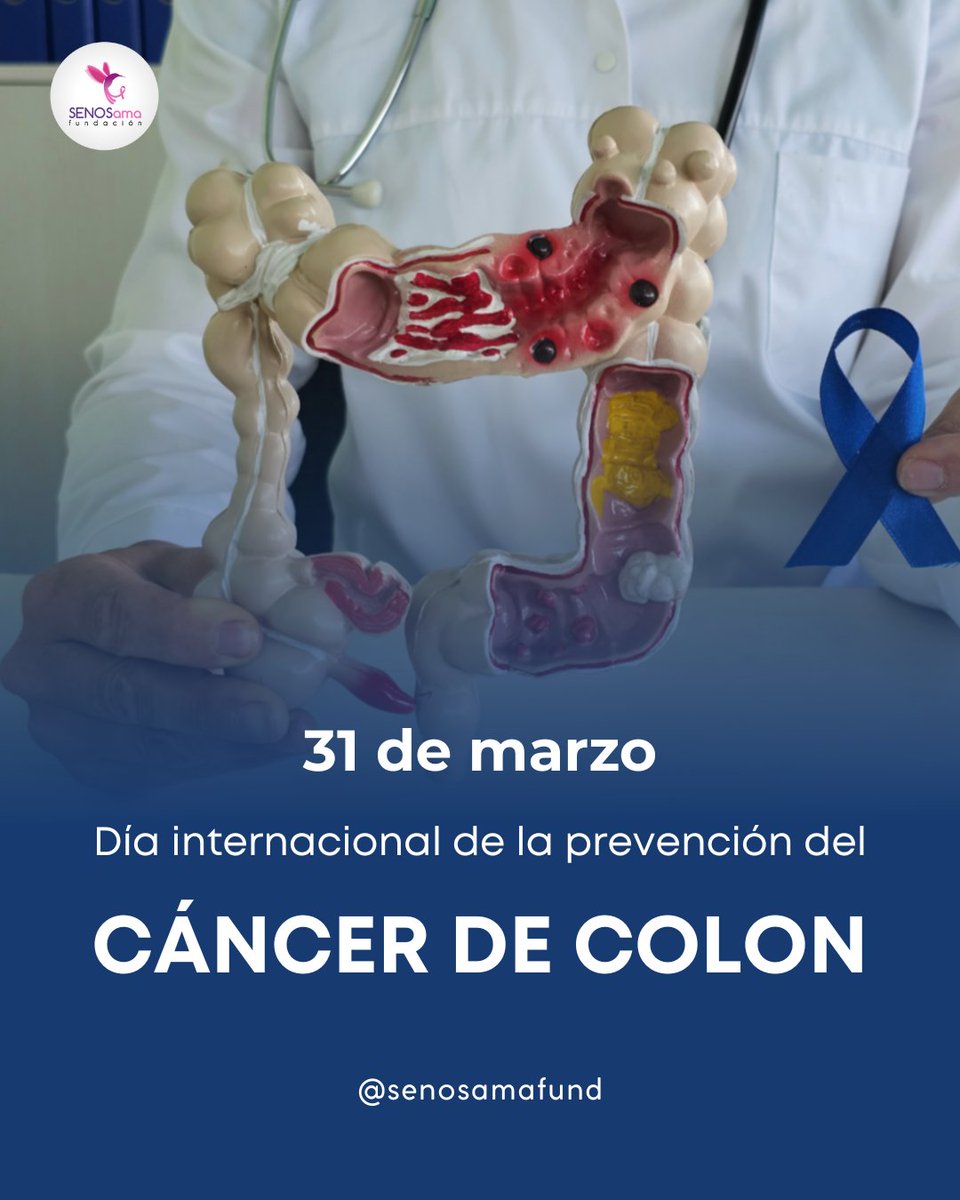 SENOSamaFund's tweet photo. 🌿31 de marzo - Día Mundial de la Prevención del Cáncer de Colon
La prevención es el mejor cuidado. Adoptar hábitos saludables, realizar chequeos periódicos y estar informados puede marcar la diferencia. Escucha tu cuerpo, prioriza tu bienestar y agenda tus controles médicos.💙 https://t.co/aGE3uthqMO