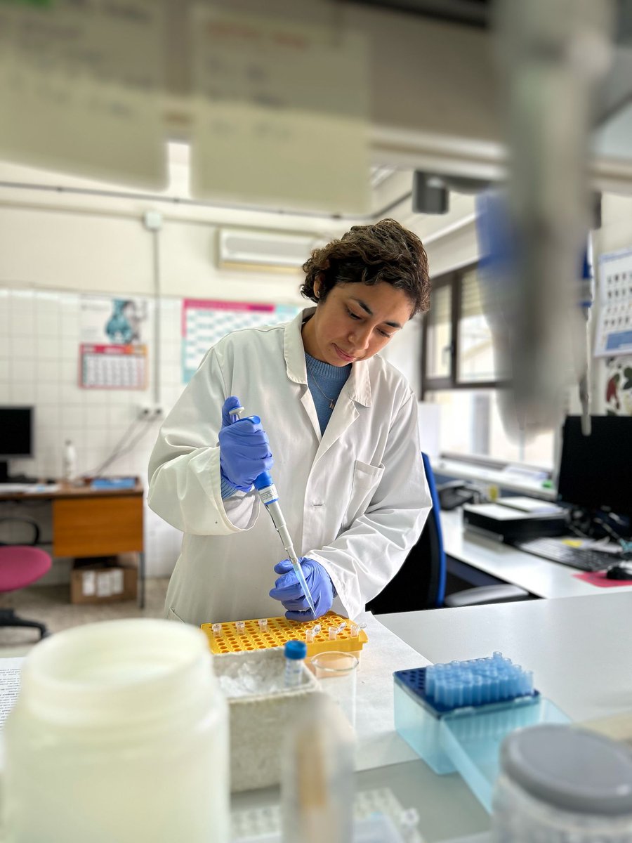 Hoy despedimos a Nury J. Vargas, del Laboratorio de Metaxénicas y Zoonosis Parasitarias del <a href="/INS_Peru/">INS_Perú</a>, después de tres provechosas semanas de aprendizaje mutuo en el <a href="/irnasa_csic/">IRNASA-CSIC</a>. Un lujo tenerte por aquí, buen viaje y esperamos vernos pronto ✈️😀