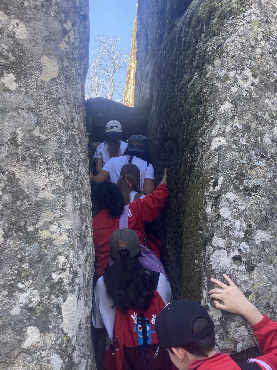 Hoy, los alumnos y alumnas de 6º, han  disfrutado de una jornada estupenda en el Bosque de la Herrería (El Escorial). Una larga caminata, trepar rocas y mucha naturaleza, pero, sobre todo, un día de convivencia y compañerismo. ¡Gran experiencia! #Cossío #Naturaleza