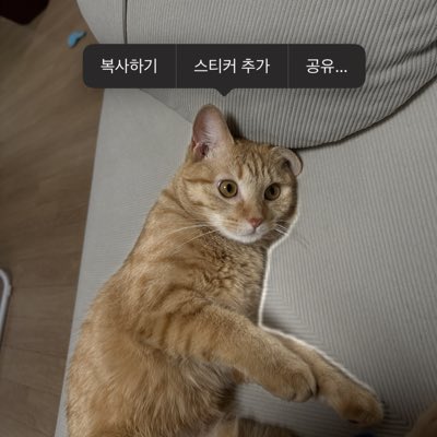 0_rbsl's tweet photo. #새프로필사진 https://t.co/6U56QknMzg