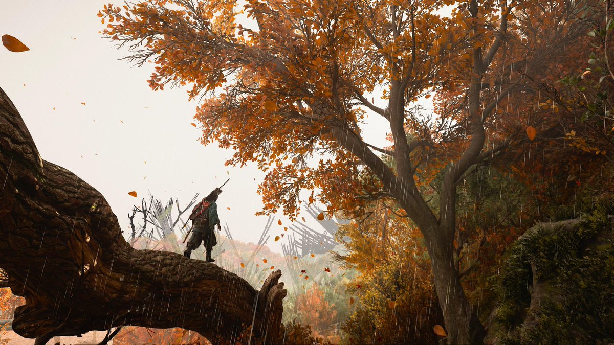 Diegofs03📸🇧🇷 (@diegofs03) on Twitter photo Pela Floresta🍁🍂📸
#AssassinsCreedShadows
<a href="/UbisoftBrasil/">Ubisoft Brasil 🇧🇷</a> <a href="/assassinscreed/">Assassin's Creed</a>
#PS5Share #VPRT #VGPUnite #ArtisticofSociety #PhotoMode Pela Floresta🍁🍂📸
#AssassinsCreedShadows
<a href="/UbisoftBrasil/">Ubisoft Brasil 🇧🇷</a> <a href="/assassinscreed/">Assassin's Creed</a>
#PS5Share #VPRT #VGPUnite #ArtisticofSociety #PhotoMode