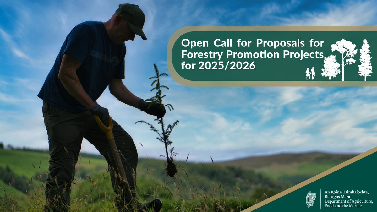 Today, an open call for proposals for forestry promotion projects.has been launched. This call will support and highlight the environmental, social and economic benefits of forestry, forests and timber products.

👉gov.ie/en/press-relea…