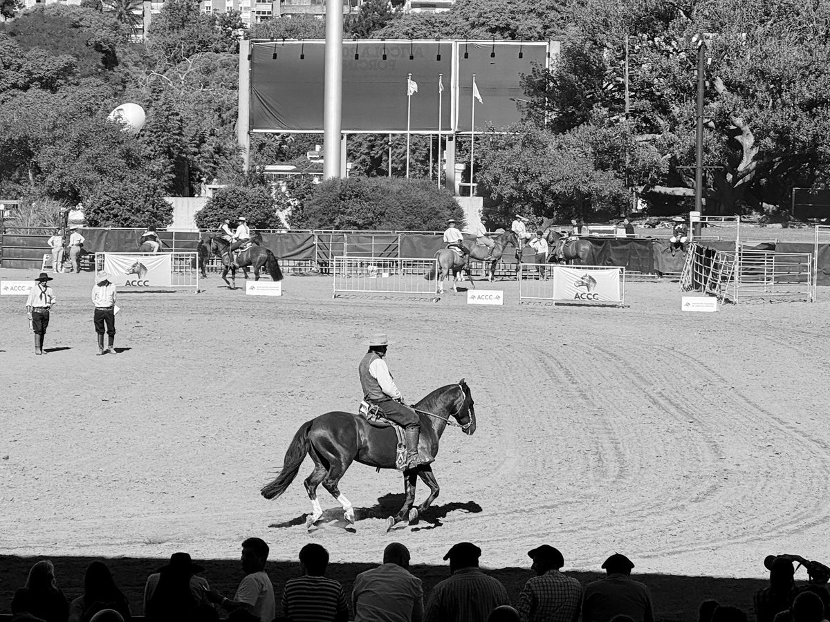 A esos jinetes astutos, orgullo del pago donde yo nací 🇦🇷❤️