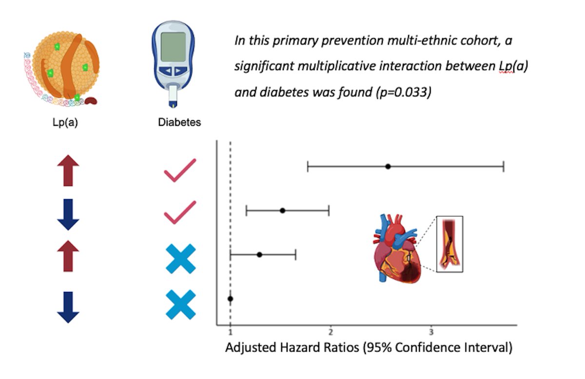 Rishi Rikhi, MD🌱MS (@rishirikhimd) on Twitter photo Published in <a href="/ATHjournal/">Atherosclerosis</a>, we found a significant multiplicative interaction between Lp(a) and diabetes
sciencedirect.com/science/articl…
<a href="/hsbhatia/">Harpreet Bhatia</a> <a href="/Kazibwe_md/">Richard Kazibwe, MD, MS, FACP</a> <a href="/paragchevli/">Parag Chevli MD MS</a> <a href="/MonSangh/">Monika Sanghavi MD, FACC</a> <a href="/DrMichaelShapir/">Michael D. Shapiro</a> <a href="/WFCardiology/">Wake Forest Baptist Health Cardiology</a> Published in <a href="/ATHjournal/">Atherosclerosis</a>, we found a significant multiplicative interaction between Lp(a) and diabetes
sciencedirect.com/science/articl…
<a href="/hsbhatia/">Harpreet Bhatia</a> <a href="/Kazibwe_md/">Richard Kazibwe, MD, MS, FACP</a> <a href="/paragchevli/">Parag Chevli MD MS</a> <a href="/MonSangh/">Monika Sanghavi MD, FACC</a> <a href="/DrMichaelShapir/">Michael D. Shapiro</a> <a href="/WFCardiology/">Wake Forest Baptist Health Cardiology</a>