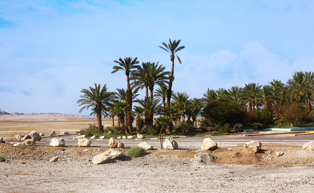 Brian Burt tweet media