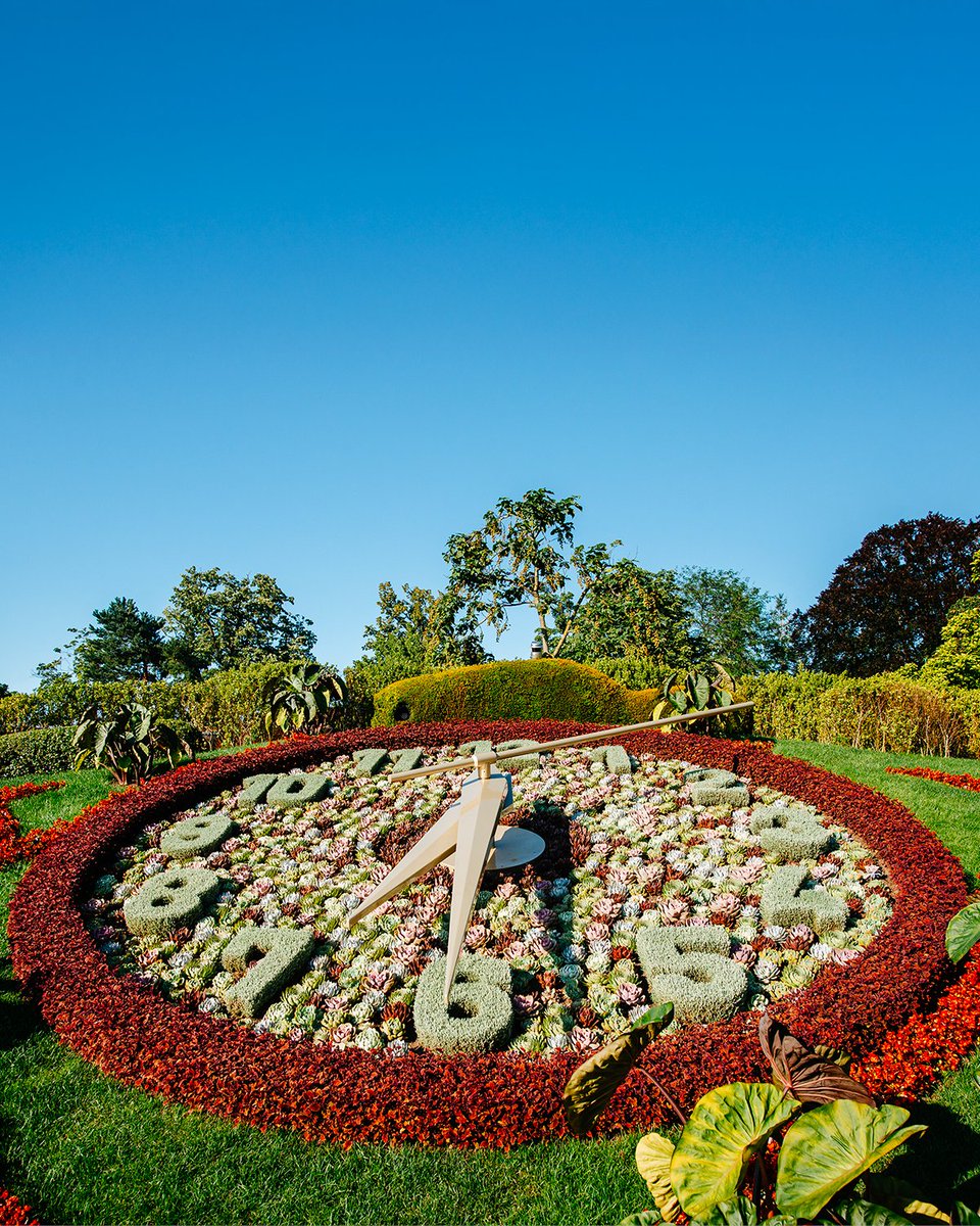 Geneva Tourism (@genevetourisme) on Twitter photo #Geneva’s #FlowerClock is getting a #makeover for <a href="/WEURO2025/">UEFA Women's EURO 2025</a>! Access is temporarily #closed—stay tuned for its new sporty look! ⚽️
#VisitGeneva #WEURO2025 #Geneva’s #FlowerClock is getting a #makeover for <a href="/WEURO2025/">UEFA Women's EURO 2025</a>! Access is temporarily #closed—stay tuned for its new sporty look! ⚽️
#VisitGeneva #WEURO2025
