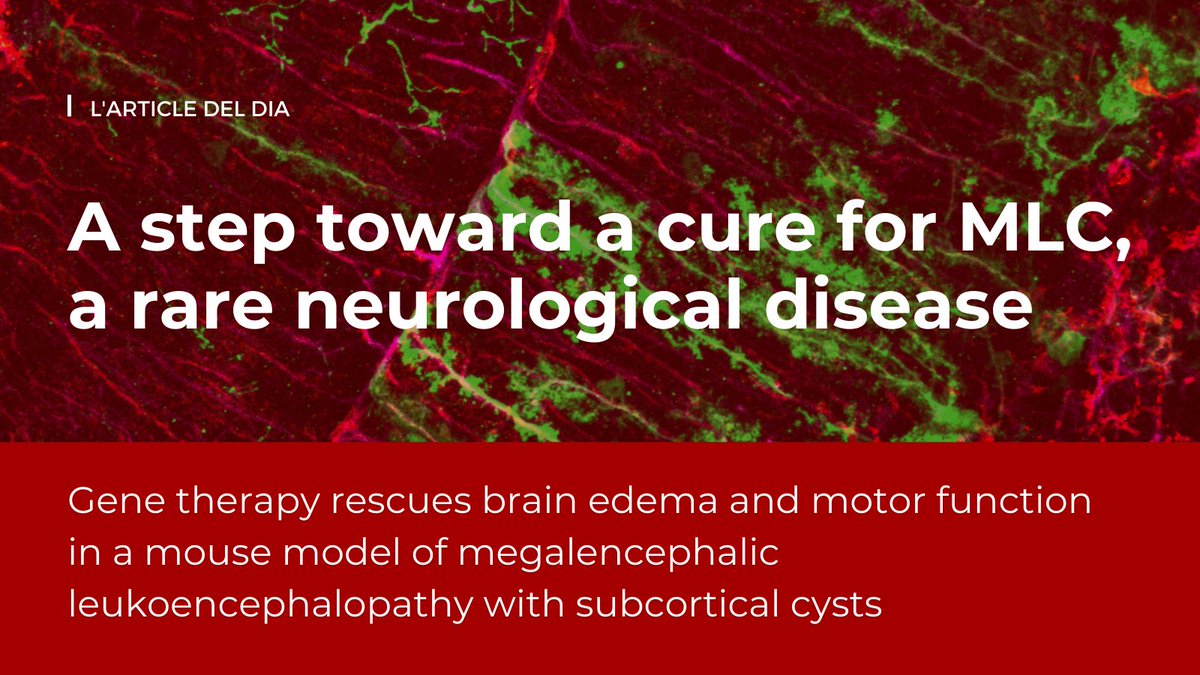 Institut de Neurociències UAB tweet media
