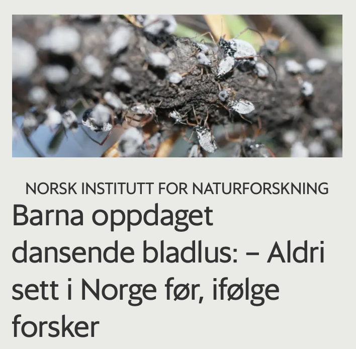 Det må bli forbudt med kokain!