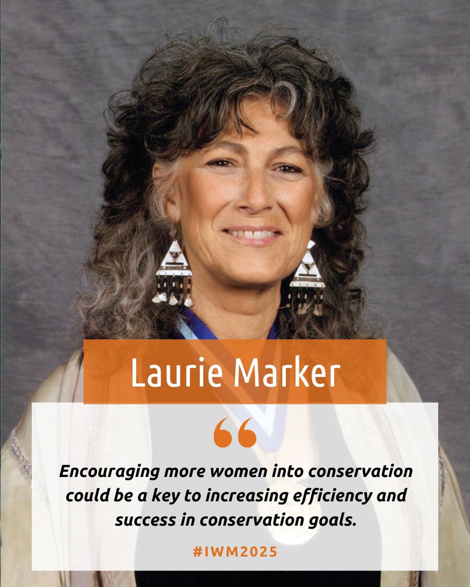 As International Women’s Month comes to a close, we celebrate Laurie Marker, a pioneering conservationist who has dedicated her life to saving the world’s fastest land animal—the cheetah.