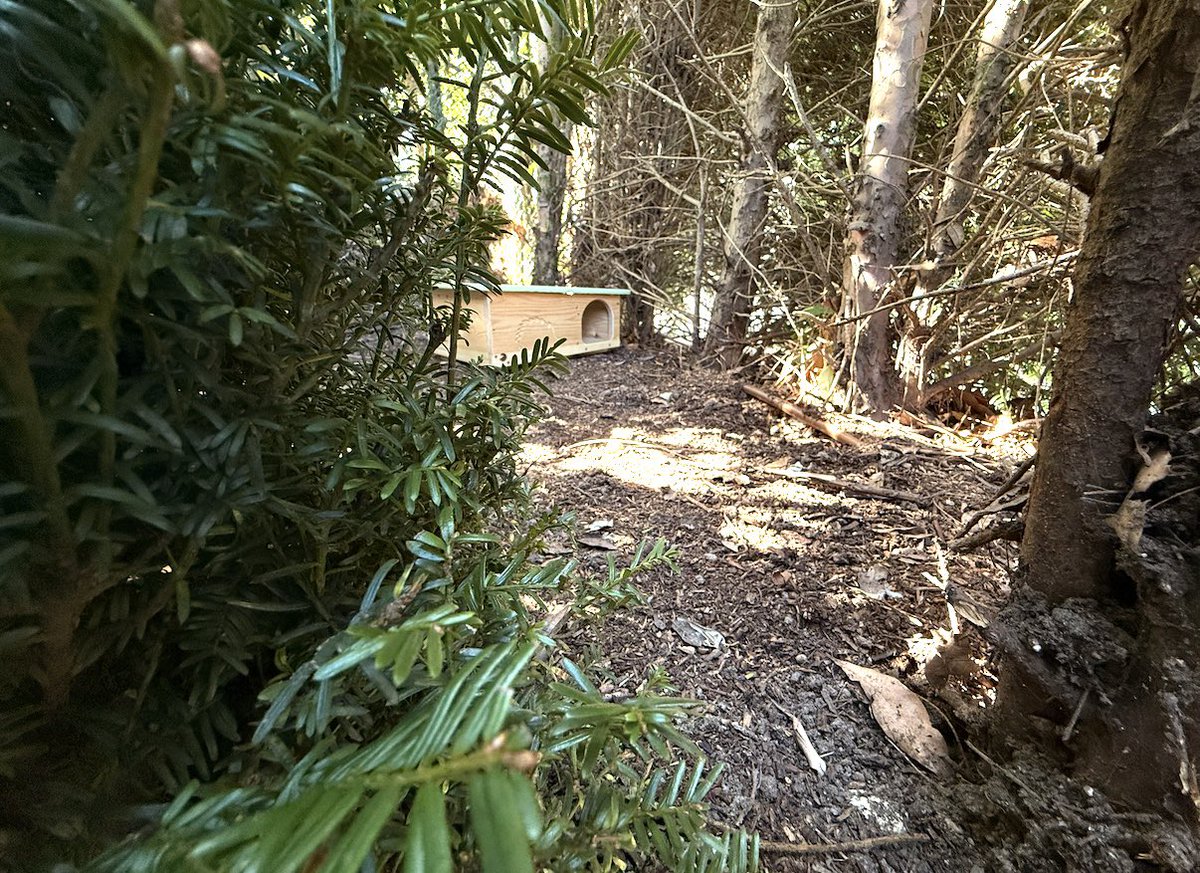 Ricky Gervais tweet media