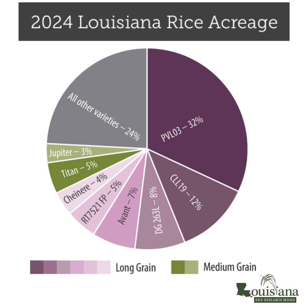 Share what varieties you are planting this year and tell us what 2025 is looking like! 🌾