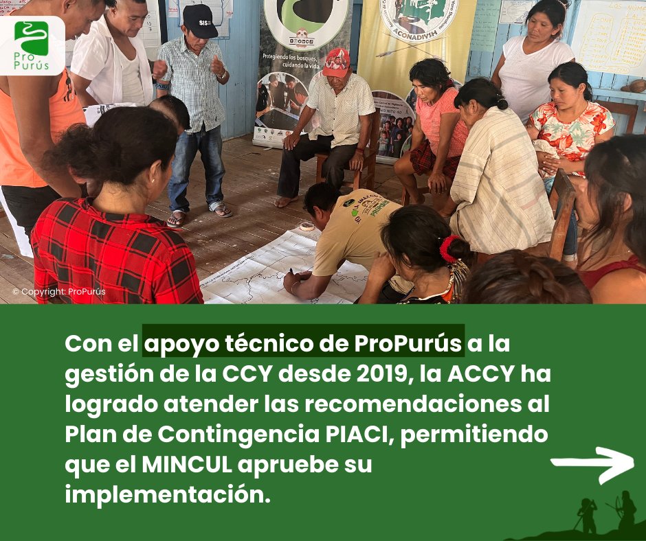 ProPurús tweet media