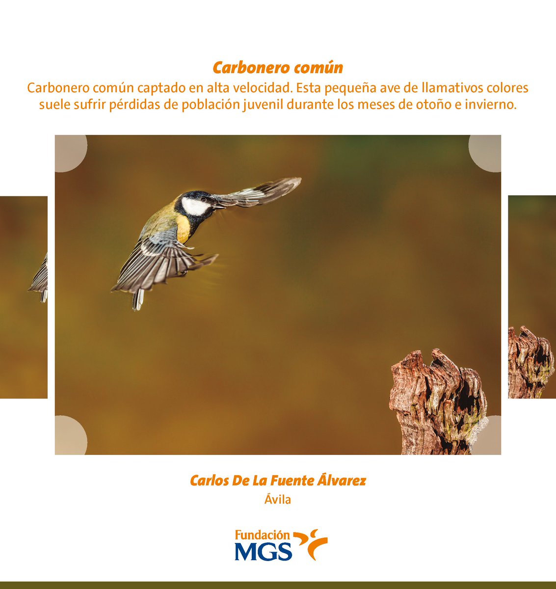 ¡Despedimos el mes de marzo y le decimos hola a abril! ✨🌷

Nuevo mes, nuevos retos y una nueva página del 𝗖𝗮𝗹𝗲𝗻𝗱𝗮𝗿𝗶𝗼 𝗦𝗼𝗹𝗶𝗱𝗮𝗿𝗶𝗼 𝟮𝟬𝟮𝟱 de la <a href="/FundacionMGS/">Fundación MGS</a> 📅

Que abril nos traiga días más largos, buenos momentos y felicidad renovada 🧡