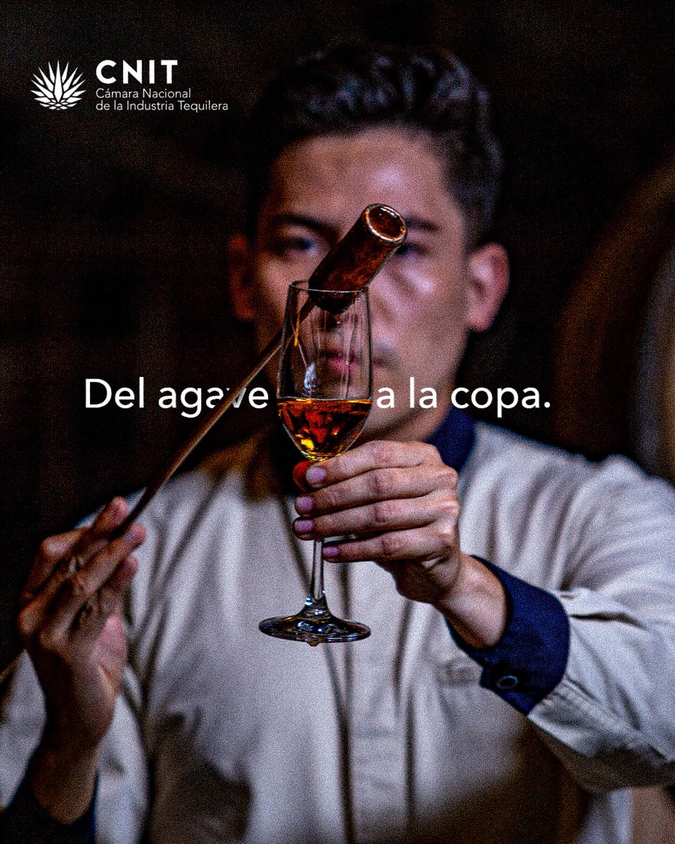 El tequila es el resultado de un proceso que combina tradición y maestría. Desde el cultivo del agave hasta su destilación, cada etapa es un homenaje a nuestra bebida.

#Tequila #CNIT