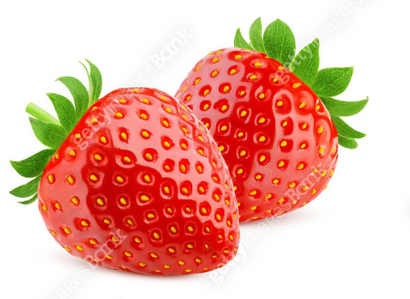 여러분 안녕하세요
저는 탐라의 딸기룡을 맡고있는 리뉴입니다
사실 전 딸기였습니다
그동안 속여와서 죄송합니다

Q) 딸기는 손 없잖아요
A) 유전자 변형시켜서 달았습니다. 감사합니다.