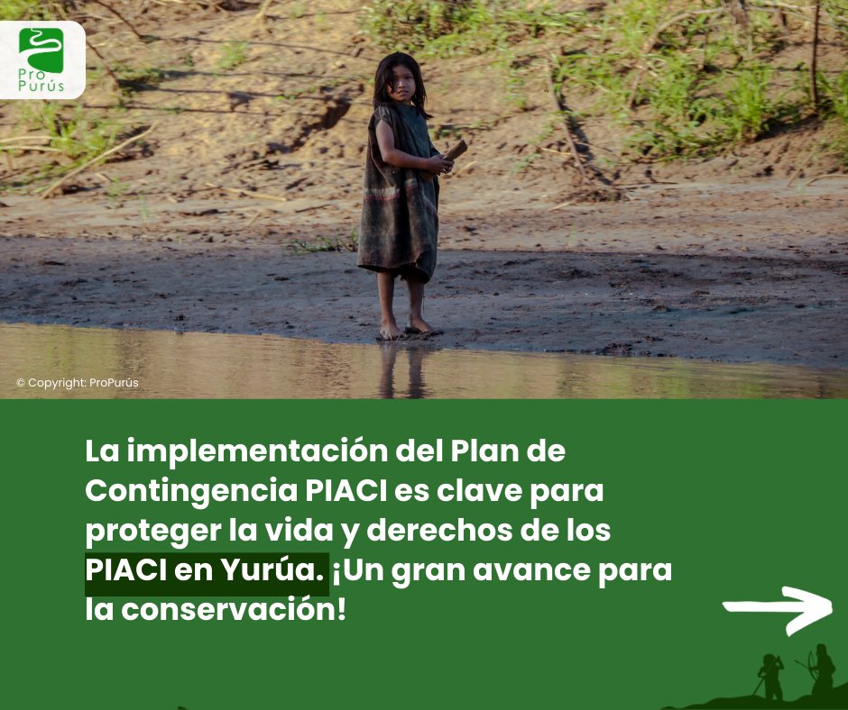 📢 Ministerio de Cultura aprueba el Plan de Contingencia PIACI de la Concesión para Conservación Yurúa (CCY) en Yurúa.
📜 Con apoyo técnico de ProPurús desde 2019, ACCY levantó observaciones y garantizó la protección de los PIACI en la Reserva Indígena Murunahua.
