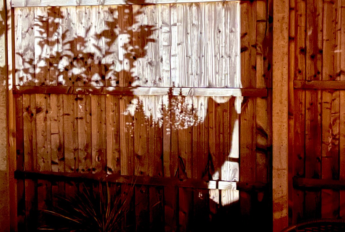 Hazel A.H. tweet media