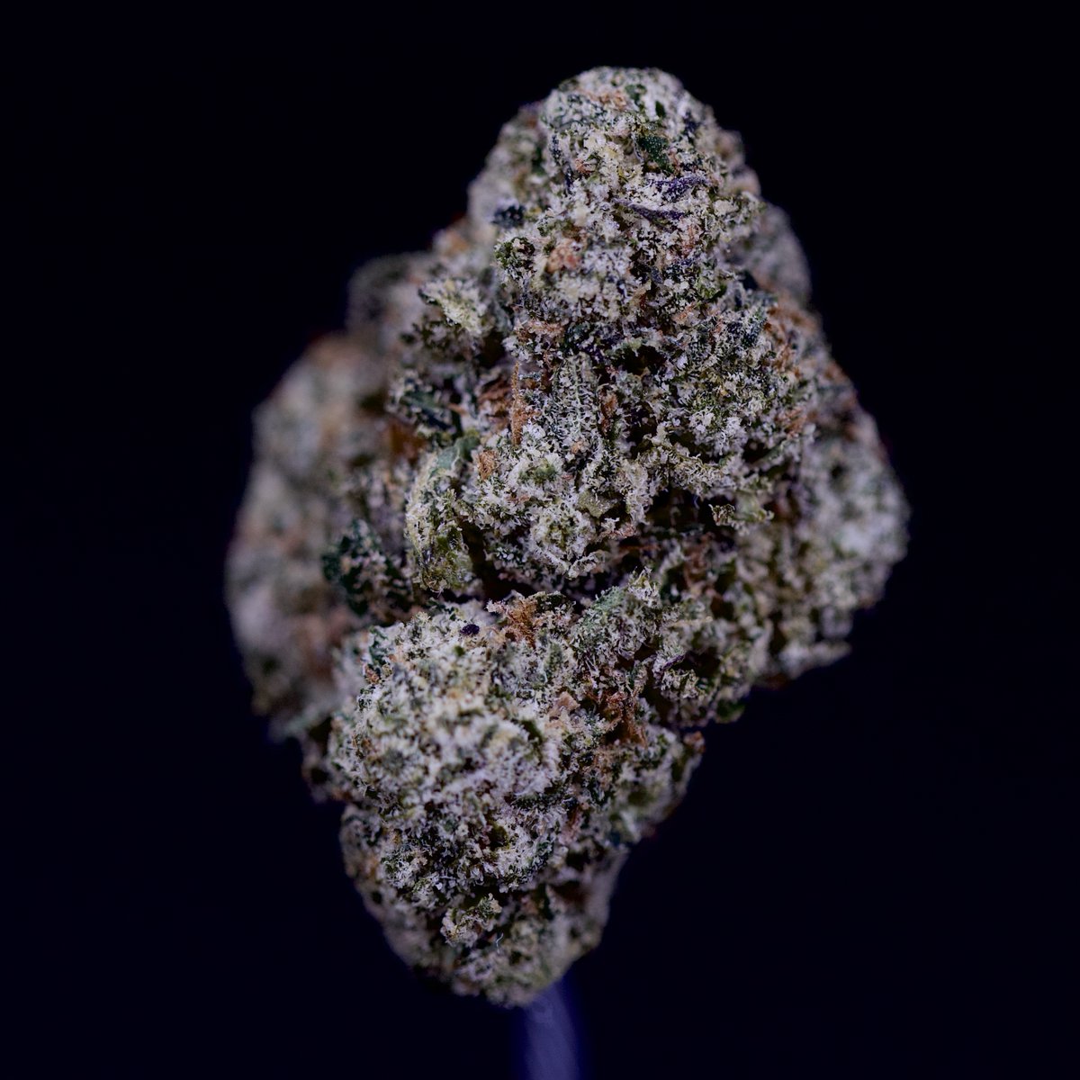 RC_Cultivators's tweet image. What are you smoking this week? 👀
🌹NEW FLOWER JUST DROPPED: 
Blackberry, LA Pop Rocks, LCG, Gary Payton &amp;amp; Sour Kush Breath 🔥🌿
More strains hitting the site all week long. Don’t sleep.
👉 royalcannabisshop.com/product-catego…
#RoyalCannabis #FlowerDrop #CannabisCommunity