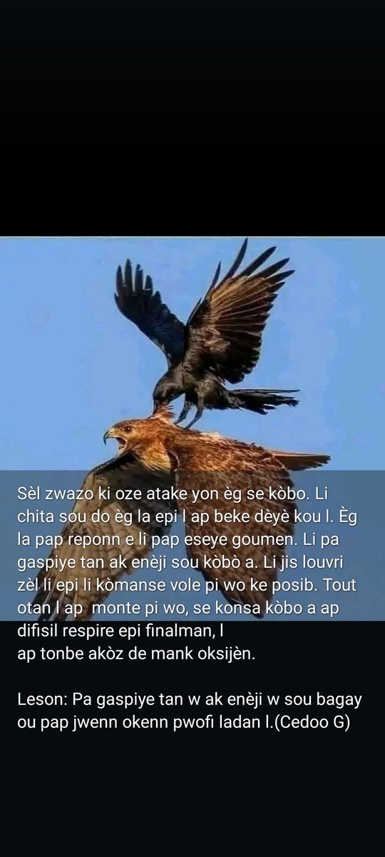 Journaliste Fedelin JEAN (@fedelinjean87) on Twitter photo 