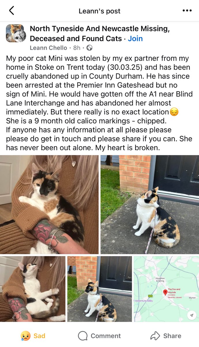 <a href="/MissingPetsGB/">Missing Pets GB</a> is this something you can share? We saw it on Facebook. We don’t know Leann but we are worried for Mini
😿#CatsOfTwitter #CatsOfX