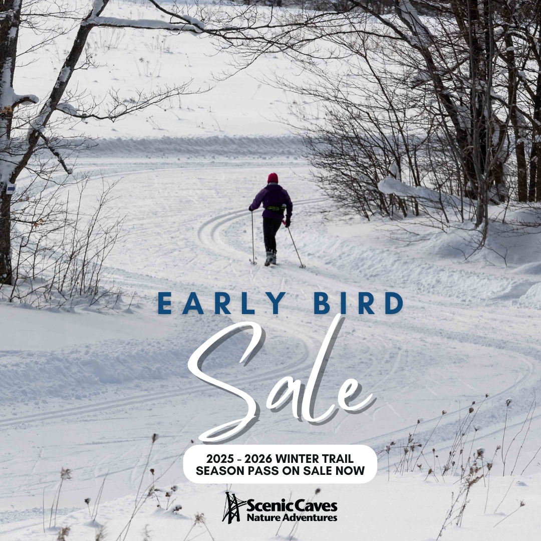 Save big on your 2025-2026 Winter Trail Season Pass with our Early Bird Sale! Get unlimited access to scenic trails and breathtaking winter landscapes. Offer ends April 30! ow.ly/KPju50Vrb2o