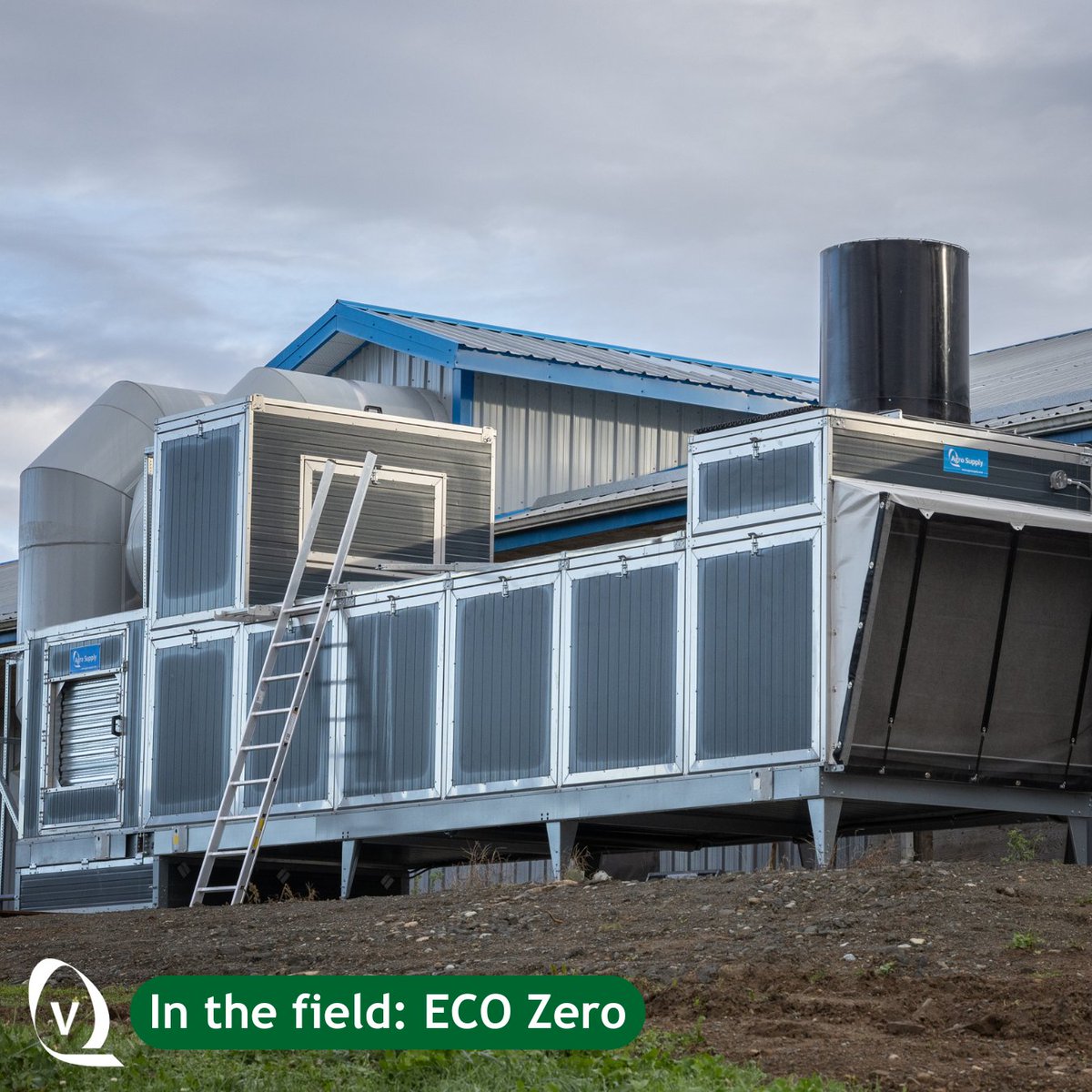 ✨ 𝗔𝗽𝗽𝗿𝗲𝗰𝗶𝗮𝘁𝗶𝗼𝗻 𝗺𝗼𝗺𝗲𝗻𝘁 ✨
Just got our hands on an amazing snapshot of the very first ECO Zero on a layer farm in British Columbia! 

Want to know more about the system? bit.ly/4hxerGG