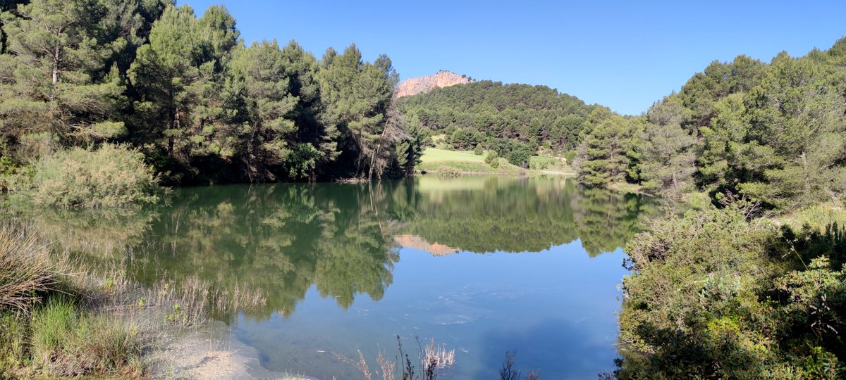 La_Carrasca's tweet image. 😎¡Nos vamos a la sierra del Castellar!
Este 6 de abril, nos adentramos en una ruta espectacular para descubrir dos joyas naturales y muy desconocidas de la Región de Murcia. Si las lluvias han hecho su magia, nos espera un paisaje aún más impresionante
lacarrascaorg.wordpress.com/.../laguna-del…