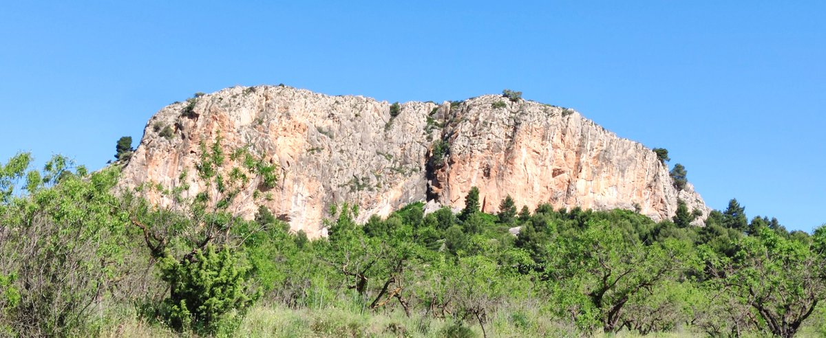 La_Carrasca's tweet image. 😎¡Nos vamos a la sierra del Castellar!
Este 6 de abril, nos adentramos en una ruta espectacular para descubrir dos joyas naturales y muy desconocidas de la Región de Murcia. Si las lluvias han hecho su magia, nos espera un paisaje aún más impresionante
lacarrascaorg.wordpress.com/.../laguna-del…